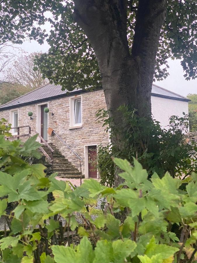 Holiday home Orkney Staycations - Thorvald *